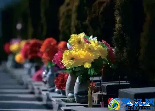 清明节，文明祭祀是最好的缅怀