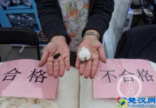 棉絮越白越好？ 专家教你三招鉴别“黑心棉”