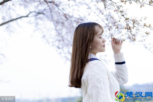 咫尺天涯，各自安好