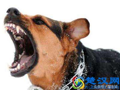 周围出现了这几种情况，是地震的前兆，赶紧避震