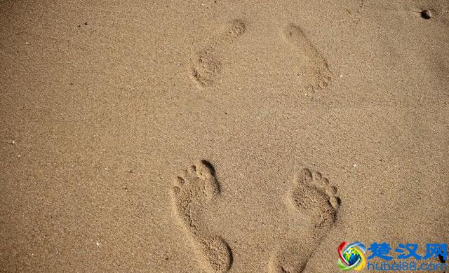 辽宁有个鸟岛你绝对没去过，石城岛里的鸟岛