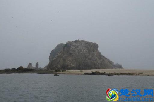 辽宁有个鸟岛你绝对没去过，石城岛里的鸟岛