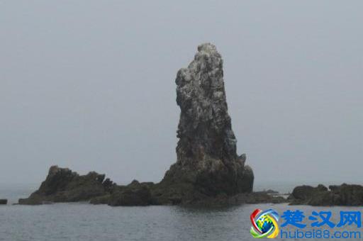 辽宁有个鸟岛你绝对没去过，石城岛里的鸟岛