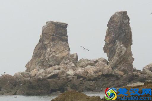 辽宁有个鸟岛你绝对没去过，石城岛里的鸟岛