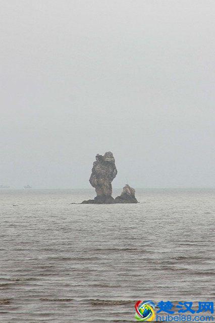 辽宁有个鸟岛你绝对没去过，石城岛里的鸟岛
