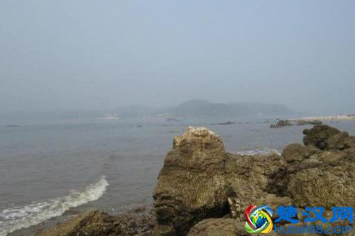 辽宁有个鸟岛你绝对没去过，石城岛里的鸟岛