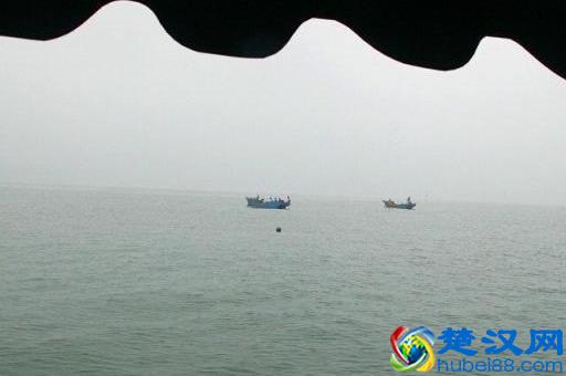 辽宁有个鸟岛你绝对没去过，石城岛里的鸟岛