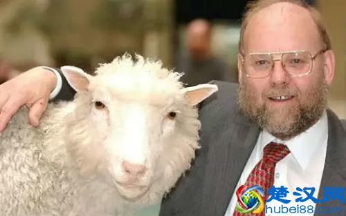 十万个为什么：什么是克隆技术？