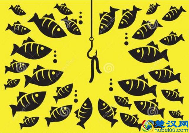 掌握网络广告设计的3个原则，让你的广告快速“吸睛”