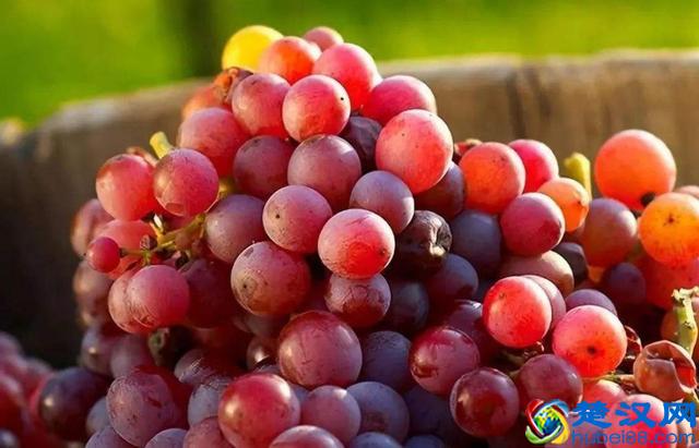 吃了这么多年葡萄，才知道清洗葡萄的正确方法，原来这样洗才干净