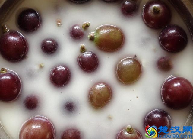 吃了这么多年葡萄，才知道清洗葡萄的正确方法，原来这样洗才干净