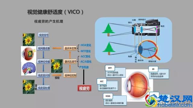 防蓝光产品真的有效吗？蓝光危害到底是什么？蓝光应该如何防护？