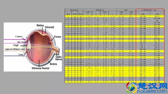 防蓝光产品真的有效吗？蓝光危害到底是什么？蓝光应该如何防护？