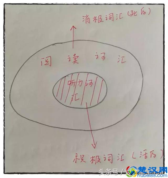 3个月听懂BBC：我是如何训练英语听力的？超强方法！