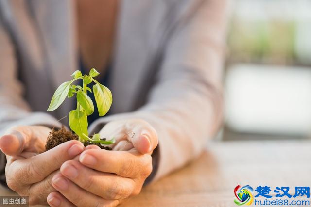 一不小心账号就被盗了，找回来都快废了，作者们都要注意了哦