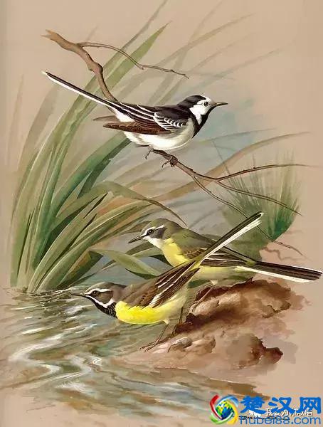 歌唱过程中如何提高肺活量