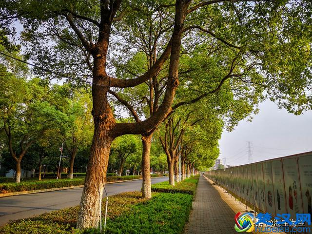 马拉松PB是什么意思？跑友间的专业术语你知道多少？