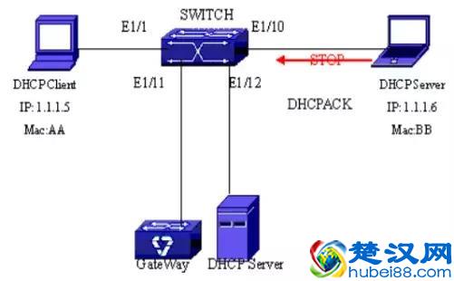 干货｜什么是DHCP？这些我们应该知道