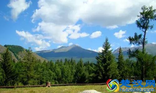 中国低碳网——低碳快讯