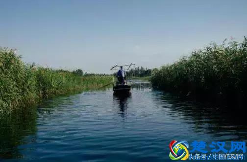 中国低碳网——低碳快讯