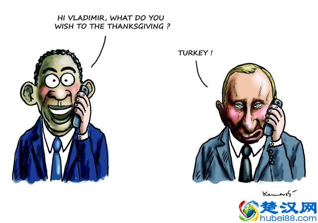 TURKEY这个多义词