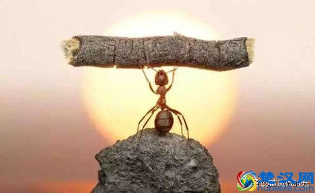 写书评的5个基本步骤，看懂了，你就会明白书评该怎么写