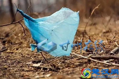 关于白色污染，您需要知道哪些？