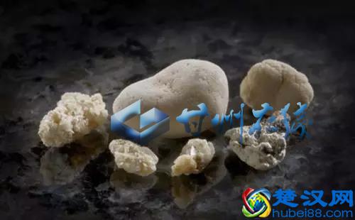 关于白色污染，您需要知道哪些？