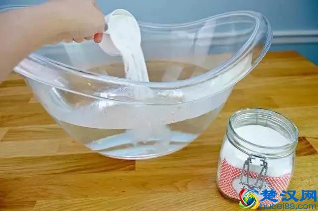 家中有蚂蚁不要忙着喷药，用这个方法，去蚂蚁安全有效