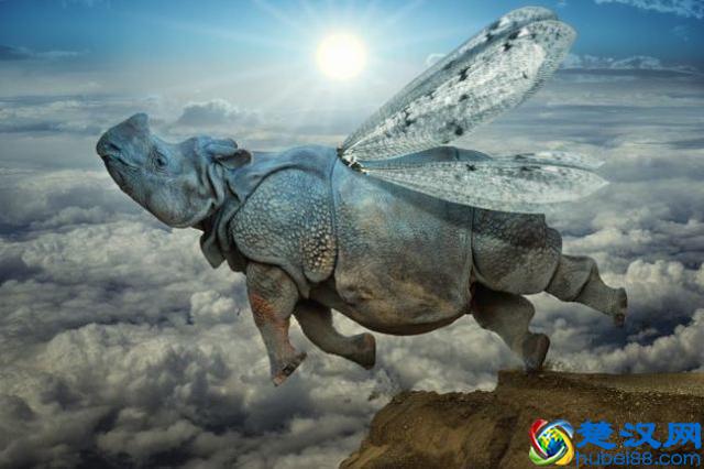 目前农村养殖哪种动物，好养又赚钱，你知道吗？