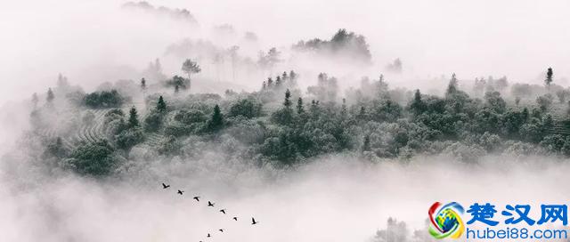 这些是通假字，不是错别字