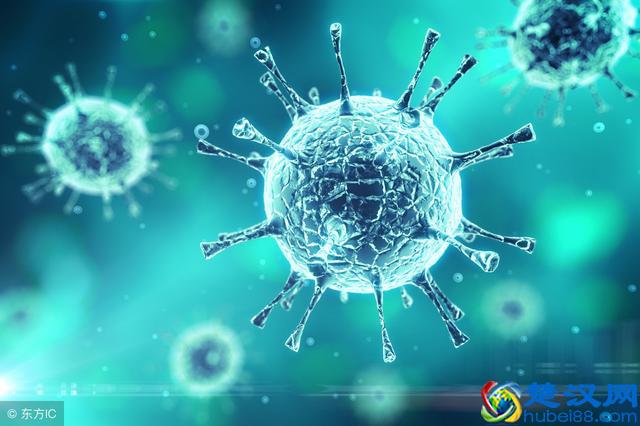 疱疹是什么？疱疹是怎么引起的？疱疹如何预防？