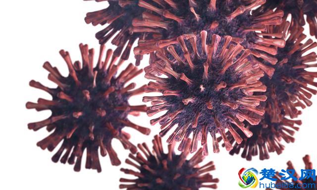 什么是疫情拐点？什么时候会来到？