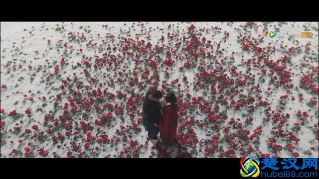 小哥张起灵身世曝光，藏海花的秘密被揭开，让人同情又让人愤怒