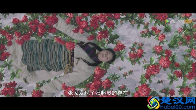 小哥张起灵身世曝光，藏海花的秘密被揭开，让人同情又让人愤怒