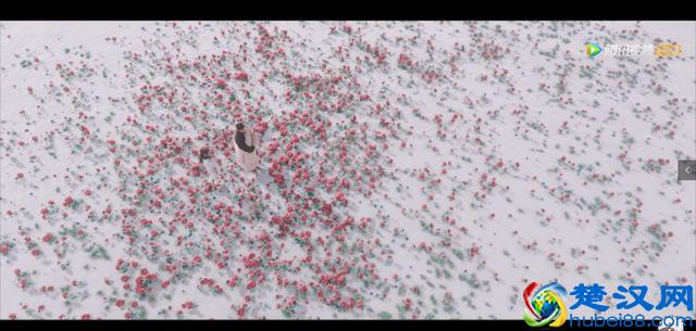 小哥张起灵身世曝光，藏海花的秘密被揭开，让人同情又让人愤怒