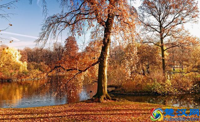 秋季感叹“一层秋雨一层凉，一地落叶一地伤”