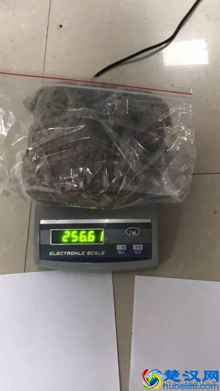 我租7套房种植物想发财，结果警察找上门