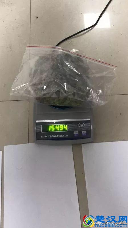 我租7套房种植物想发财，结果警察找上门