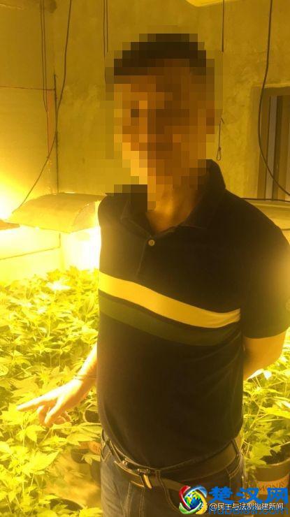 我租7套房种植物想发财，结果警察找上门