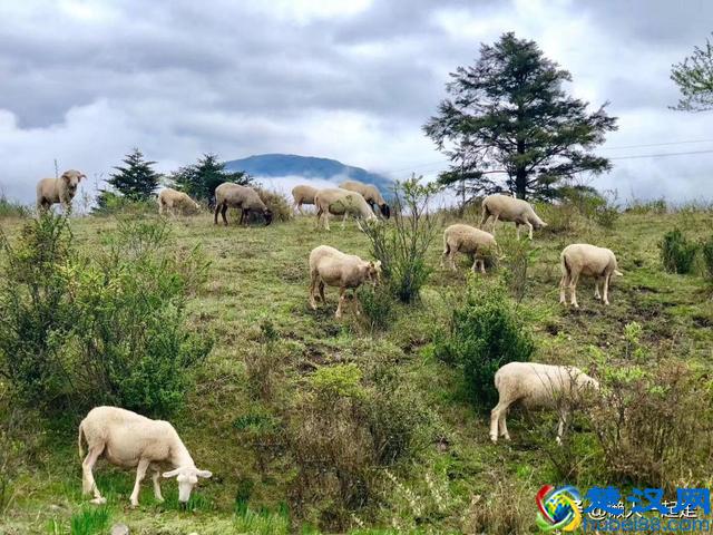 成都周边游一天来回的景点有哪些地方好玩？