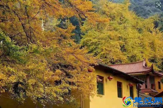 成都周边游一天来回的景点有哪些地方好玩？