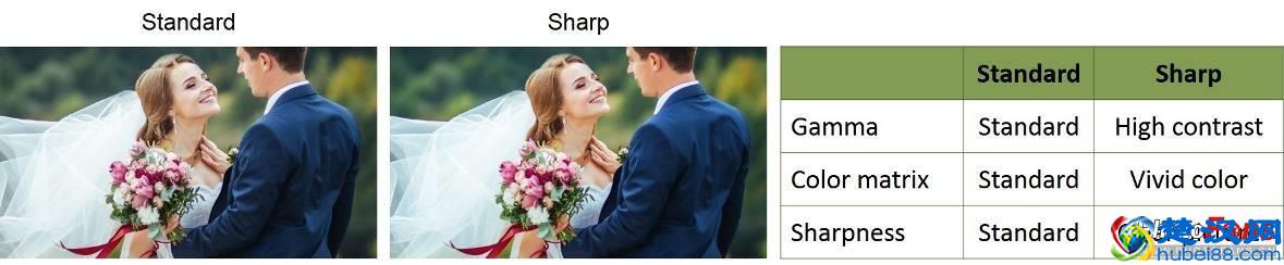 松下发布肩扛式摄像机MDH3 婚庆摄像再延续