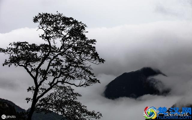 标点符号的用法一一书名号、括号