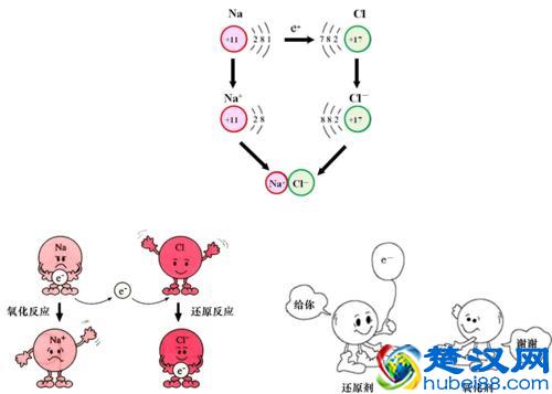 抗氧化究竟是什么鬼？