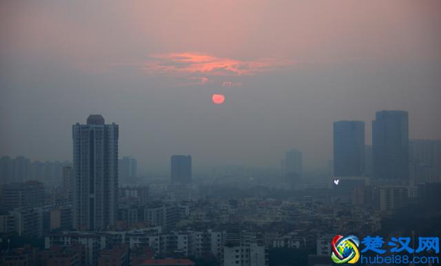 抗氧化究竟是什么鬼？