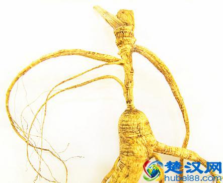 移山参价格多少钱一克 移山参和林下参哪个好