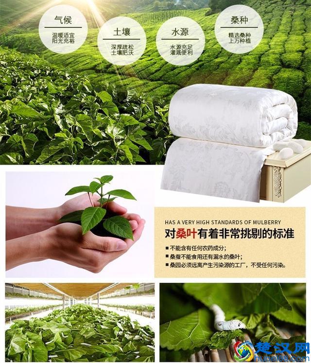 世界上最好的丝绸，是什么样的丝绸？