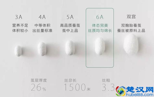 世界上最好的丝绸，是什么样的丝绸？