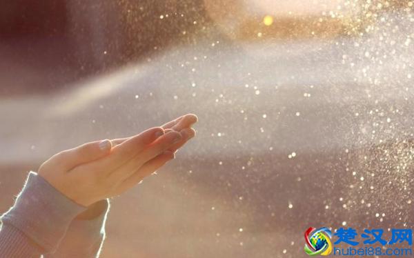 淡然是生命中一道靓丽的风景，也是一种人生境界